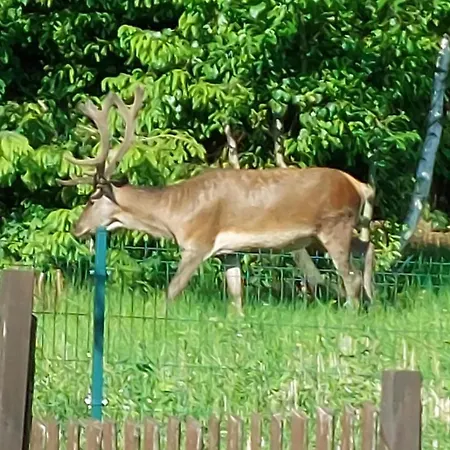 Appartamento Artur *