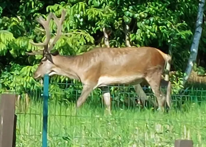 Appartamento Artur *